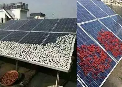 農(nóng)村光伏電站致命殺手是遮擋，這幾樣遮擋萬萬要不得！
