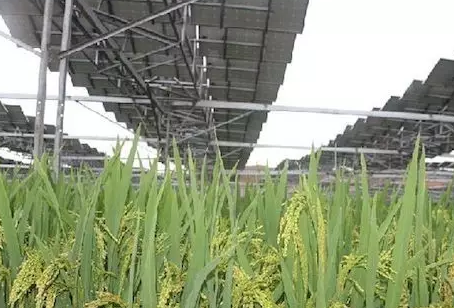 夏季能提高光伏電站發(fā)電量不假，但也會(huì)降低發(fā)電量！用戶該怎么辦？