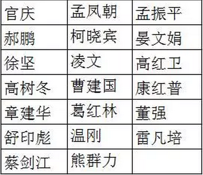 國(guó)網(wǎng)、國(guó)電投、大唐、神華、三峽等8家能源企業(yè)，總計(jì)29家央企大佬入選十九大代表