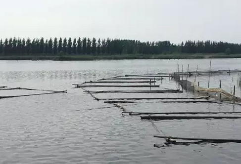 濟寧光伏領跑者基地930并網(wǎng)或基本無望，領跑者前期基地規(guī)劃需慎重