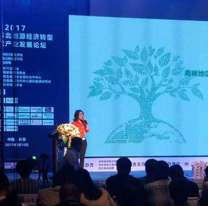 高寒地區(qū)挑戰(zhàn)多？分布式項目光伏逆變器的可靠性是關(guān)鍵！