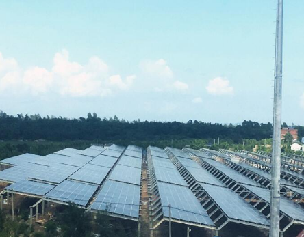 一期45MW！廣西首個(gè)海水漁光互補(bǔ)光伏電站并網(wǎng)發(fā)電