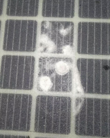開通僅三天 全球首條光伏高路公路遭人為破壞！