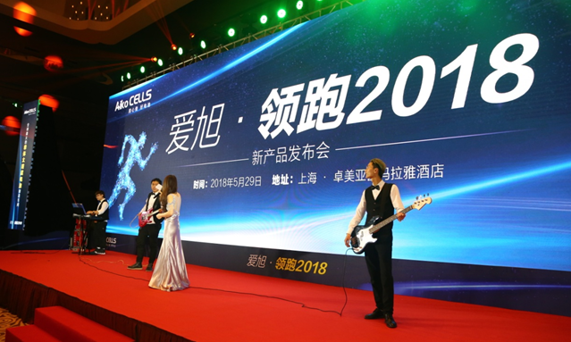 愛旭半片、疊片電池助力平價上網(wǎng)