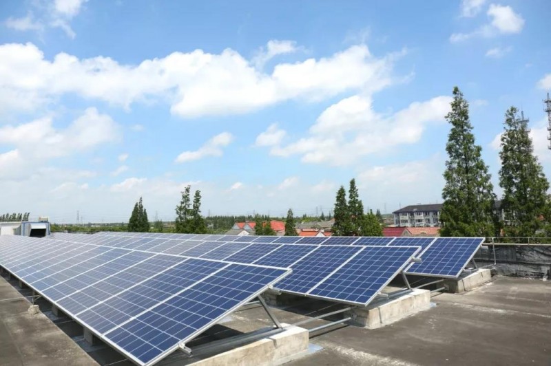上海松江區(qū)打造首個“綠電校園”:相當(dāng)于每年種樹6000棵