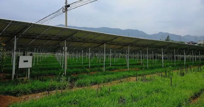 商洛市3MW農(nóng)光互補(bǔ)項(xiàng)目成示范，首航逆變器穩(wěn)定助力，業(yè)主收益有保障