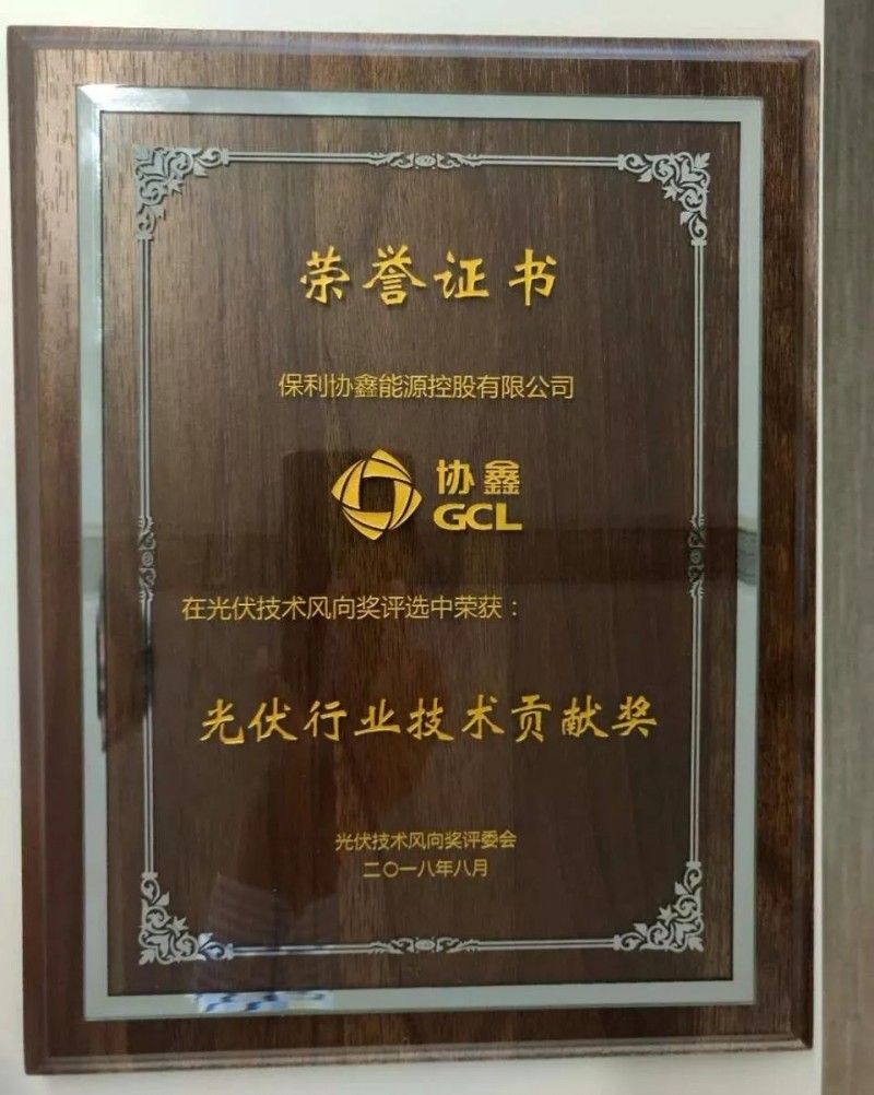 引領(lǐng)黑硅高效光伏,保利協(xié)鑫榮膺“光伏行業(yè)技術(shù)貢獻獎”