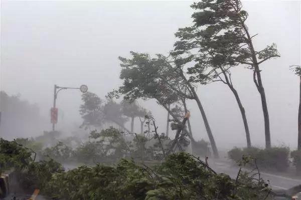 山竹肆掠： 臺風天，光伏電站如何將損失降至最低